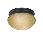 Plafonnier Nuvo Lighting 60-2644 2-Lumières Bois d'Acajou
