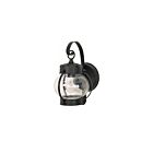 Lanterne murale d'extérieur en forme d'oignon Nuvo Lighting 60-3459 1-Lumière 60W Noir texturé
