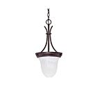 Luminaire Suspendu Nuvo Lighting 60-395 1-Lumière Bronze Antique