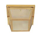 Plafonnier Extérieur Nuvo Lighting 60-471 2-Lumières Laiton Poli