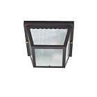 Plafonnier Extérieur Nuvo Lighting 60-473 2-Lumières Noir