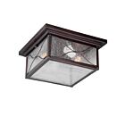 Plafonnier Extérieur Nuvo Lighting 60-5616 2-Lumières Série Vega Bronze Cuivré