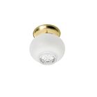 Plafonnier en Boule Nuvo Lighting 60-6029 1-Lumière 60W Laiton poli