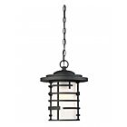 Applique murale exérieur Nuvo Lighting 60-6405 Lansing 1-lumière 100w noir texturé