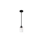 Suspendu Mini Tige Nuvo Lighting 60-7270 Sommerset 1-Lumière 60W Noir mat