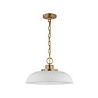 Petit suspendu Nuvo Lighting Colony 60-7480 100W 1 lumière blanc mat avec laiton bruni