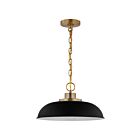 Petit suspendu Nuvo Lighting Colony 60-7481 100W 1 lumière noir mat avec laiton bruni