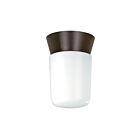 Plafonnier Nuvo Lighting SF77-156 1-Lumière 60W Bronzotique