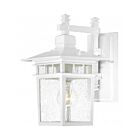 Lanterne murale extrieur Nuvo Lighting 60-4951 1-Lumière Série Cove Neck Blanc