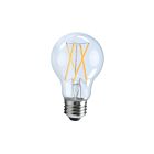 Ampoule LED A19 à filament Ortech A19-FIL-7WD 7W