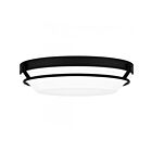Plafonnier Dunbar Quoizel Lighting DNB1616MBK 25W Noir mat