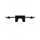 Luminaire de vanité à LED Daniels Quoizel Lighting DNL8621MBK 25W Noir mat