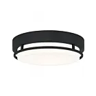 Plafonnier Quoizel Lighting HAL1612EK Hale 15W Noir de terre
