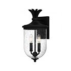 Quoizel Lighting HVN8408EK 2 Lumières Noir de terre 120W Havana Lanterne d'extérieur
