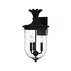 Quoizel Lighting HVN8410EK 3 Lumières Noir de terre 180W Havana Lanterne d'extérieur