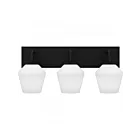 Quoizel Lighting NIE8621MBK 3 lumières Noir mat 300W Nielson Applique de salle