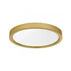 Quoizel Lighting OSTA1711BRG Outskirts 16W Or brossé Montage encastré