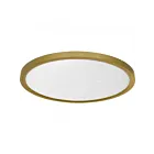 Quoizel Lighting OSTA1720BRG Outskirts 28W Or brossé Montage encastré