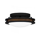 Plafonniers Quoizel Lighting QFL5610NI 3-Lumières 225W Fer naturel