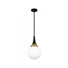 Quoizel Lighting QP6758MBK Arlo 1-Lumière 100W Noir mat Suspendu
