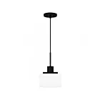 Quoizel Lighting QPP6172MBK 1 Lumière Noir mat 100W Suspendu