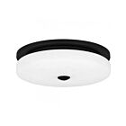 Plafonnier Tavani Quoizel Lighting TAV1615MBK 27W Noir mat