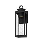 Lanterne d'extérieur Donegal Quoizel Lighting DGL8405MBK 7W 1 lumière noir mat
