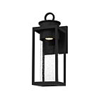 Lanterne d'extérieur Donegal Quoizel Lighting DGL8407MBK 7W 1 lumière noir mat
