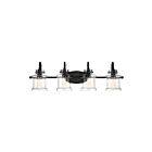 Applique de salle de bain Danbury Quoizel Lighting DNY8604EK 400W 4 lumières terre noire