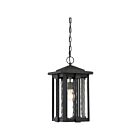 Lanterne d'extérieur Everglade Quoizel Lighting EVG1911EK 150W 1 lumière terre noire