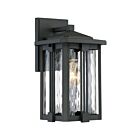 Lanterne d'extérieur Everglade Quoizel Lighting EVG8407EK 100W 1 lumière terre noire