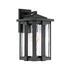Lanterne d'extérieur Everglade Quoizel Lighting EVG8409EK 100W 1 lumière terre noire