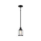 Mini suspendu Ludlow Quoizel Lighting LUD1505EK 100W 1 lumière terre noire