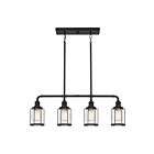 Chandelier pour îlot Ludlow Quoizel Lighting LUD434EK 400W 4 lumières terre noire