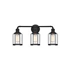 Applique de salle de bain Ludlow Quoizel Lighting LUD8624EK 300W 3 lumières terre noire