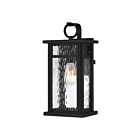Lanterne d'extérieur Moira Quoizel Lighting MOI8408EK 100W 1 lumière terre noire