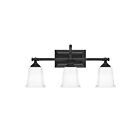 Applique de salle de bain Nicholas Quoizel Lighting NL8603EK 300W 3 lumières terre noire