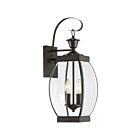 Lanterne d'extérieur Oasis Quoizel Lighting OAS8408Z 120W 2 lumières médicis bronze