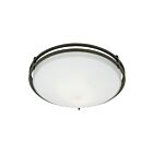 Plafonnier Ozark Quoizel Lighting OZ1613IN 120W 2 lumières porte de fer