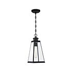Lanterne d'extérieur Paxton Quoizel Lighting PAX1907MBK 100W 1 lumière noir mat