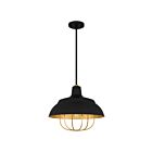 Suspendu Darmody Quoizel Lighting QP5357MBK 100W 1 lumière noir mat