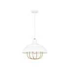 Suspendu Darmody Quoizel Lighting QP5357W 100W 1 lumière lustre blanc