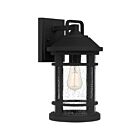 Lanterne d'extérieur Quincy Quoizel Lighting QUY8409EK 100W 1 lumière terre noire