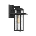 Lanterne d'extérieur Randall Quoizel Lighting RDL8407MB 60W 1 lumière noir chiné