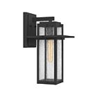 Lanterne d'extérieur Randall Quoizel Lighting RDL8409MB 100W 1 lumière noir chiné