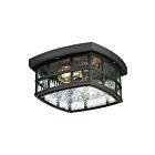 Lanterne d'extérieur Stonington Quoizel Lighting SNN1612K 120W 2 lumières noir mystique