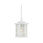 Lanterne d'extérieur Stonington Quoizel Lighting SNN1909W 100W 1 lumière lustre blanc