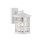 Lanterne d'extérieur Stonington Quoizel Lighting SNN8406W 100W 1 lumière lustre blanc