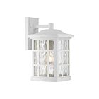 Lanterne d'extérieur Stonington Quoizel Lighting SNN8409W 100W 1 lumière lustre blanc