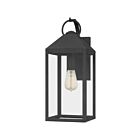 Lanterne d'extérieur Thorpe Quoizel Lighting TPE8408MB 100W 1 lumière noir chiné